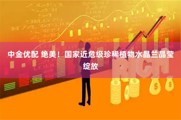 中金优配 绝美！国家近危级珍稀植物水晶兰晶莹绽放