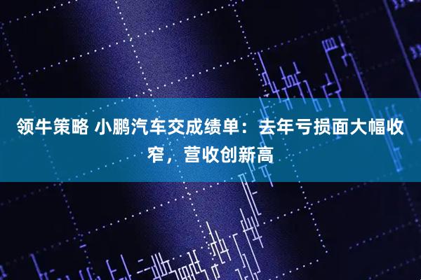 领牛策略 小鹏汽车交成绩单：去年亏损面大幅收窄，营收创新高