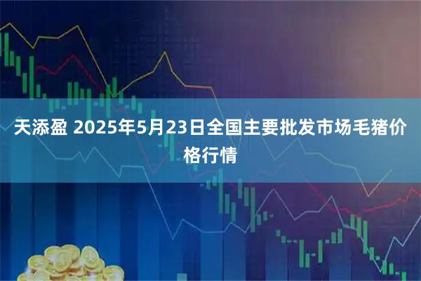 天添盈 2025年5月23日全国主要批发市场毛猪价格行情