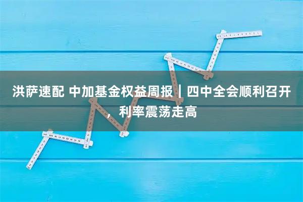 洪萨速配 中加基金权益周报︱四中全会顺利召开,利率震荡走高