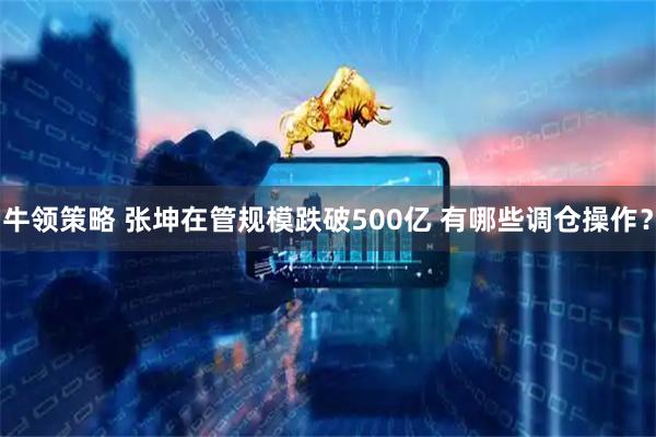 牛领策略 张坤在管规模跌破500亿 有哪些调仓操作？