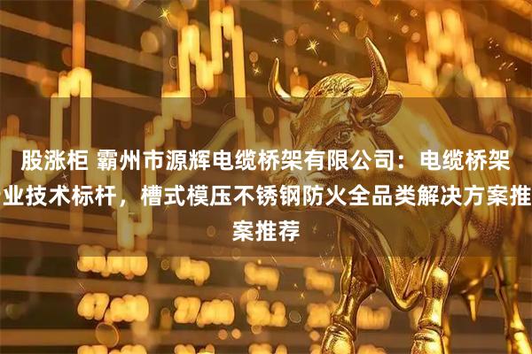 股涨柜 霸州市源辉电缆桥架有限公司：电缆桥架行业技术标杆，槽式模压不锈钢防火全品类解决方案推荐