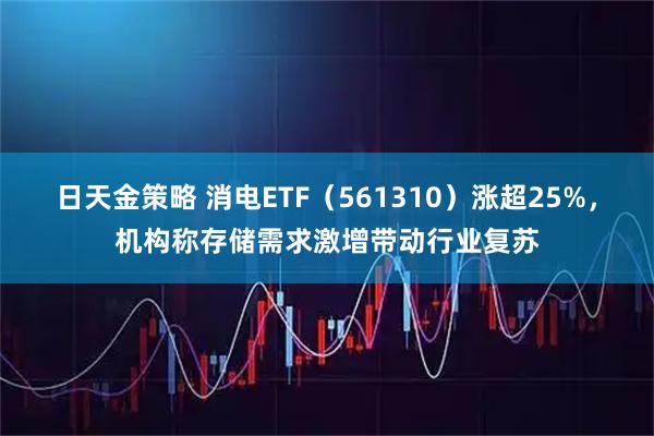 日天金策略 消电ETF(561310)涨超25%,机构称存储需求激增带动行业复苏