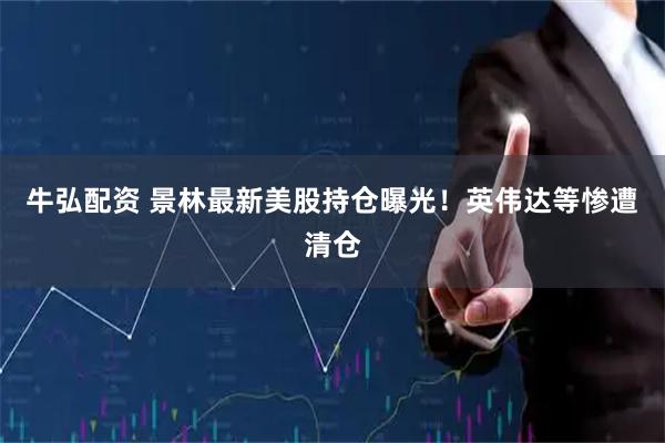 牛弘配资 景林最新美股持仓曝光！英伟达等惨遭清仓